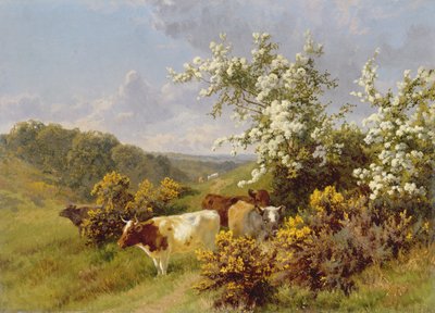Fiori di maggio da Charles Collins